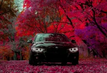 BMW Exclusive Vehicles