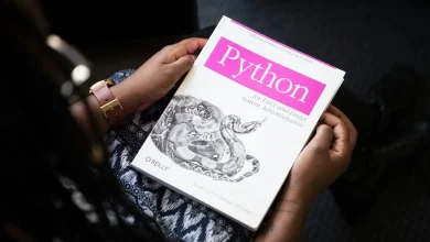 Why The Python Programming Language Is So Popular