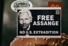 Julian Assange’s Senate Run Falls Short with Just 1% in Victoria