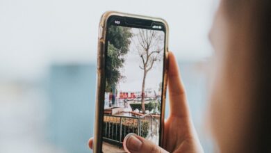 Person holding a smartphone to take a photo